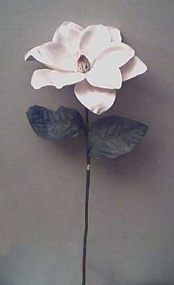 Latex Magnolia